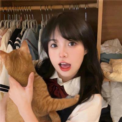 包青天之开封奇案